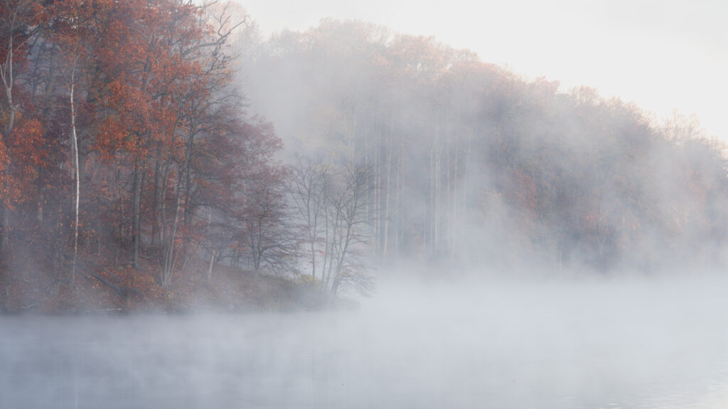 Serene autumn forest with red gold trees and morning fog over misty reflective water background Wallpaper