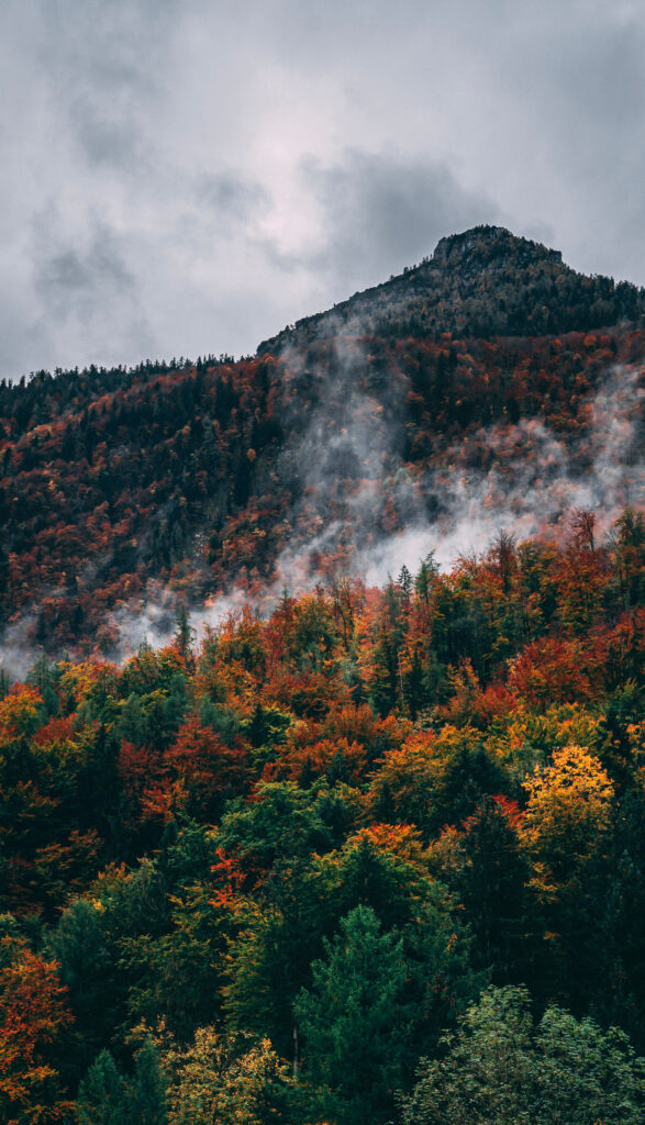 Autumn forest on mountain slope with colorful trees misty clouds and rugged peak under cloudy sky Wallpaper