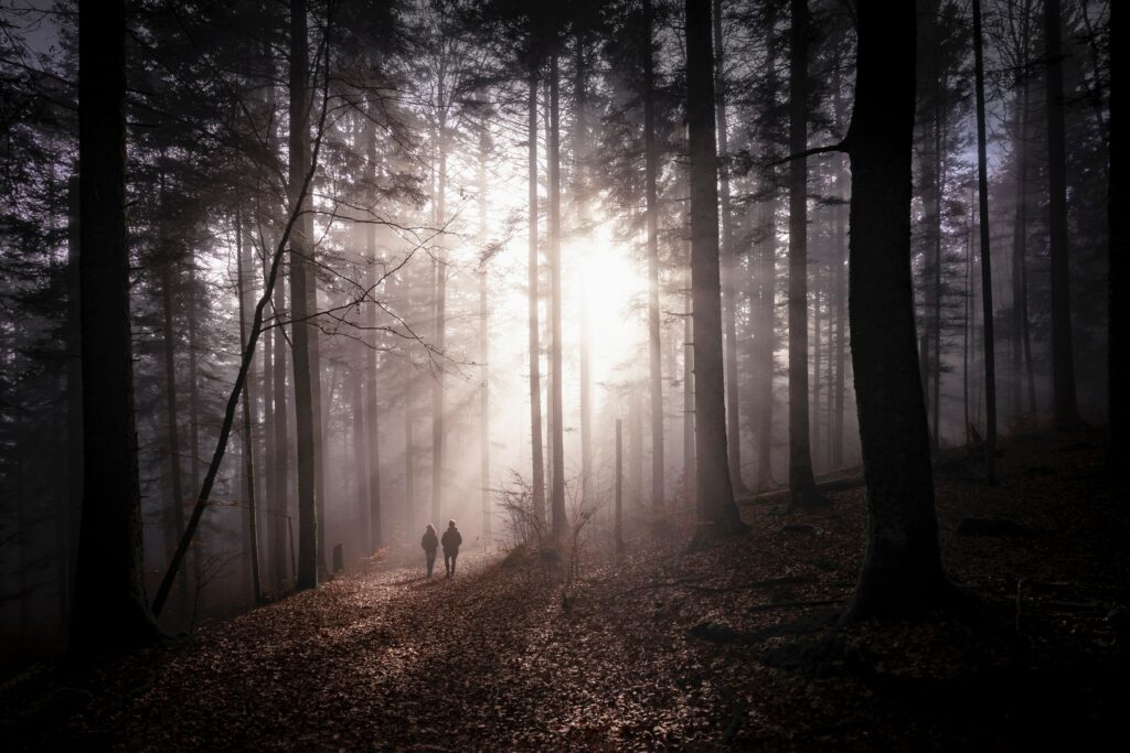 Misty autumn forest with couple walking hand in hand on leaf covered path at sunrise Wallpaper