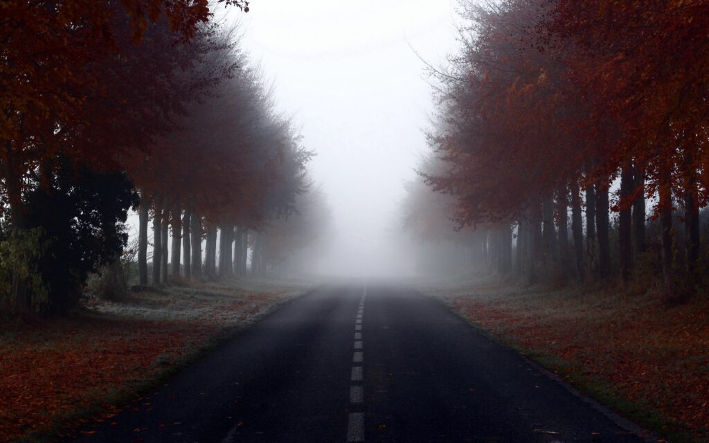 Foggy autumn road lined with colorful trees creating a serene and mysterious landscape background Wallpaper