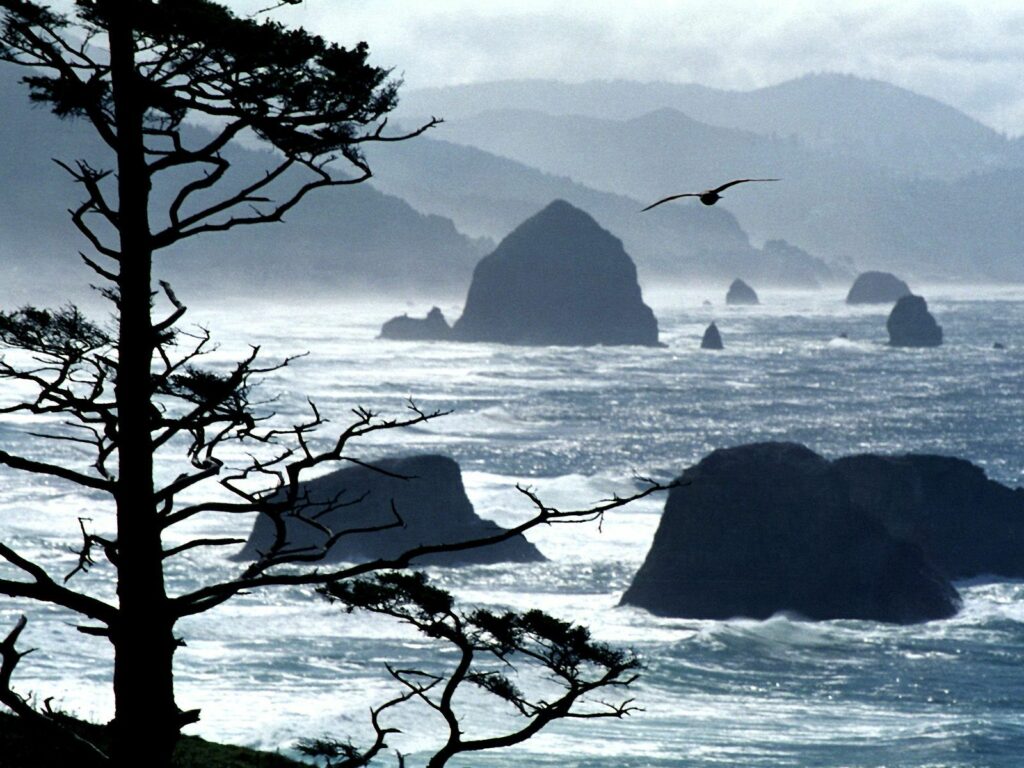 Serene coastal wallpaper with misty seascape rugged rocks soaring bird silhouetted tree blue tones