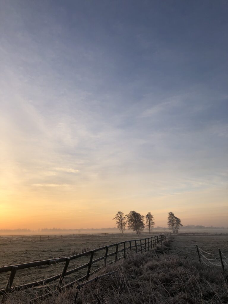 Misty dawn field with dew grass rustic wooden fence pastel sunrise sky rural landscape wallpaper