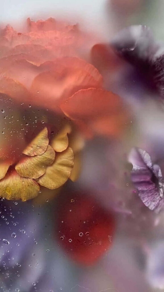Serene Misty Floral Wallpaper - Ethereal Artistic Background