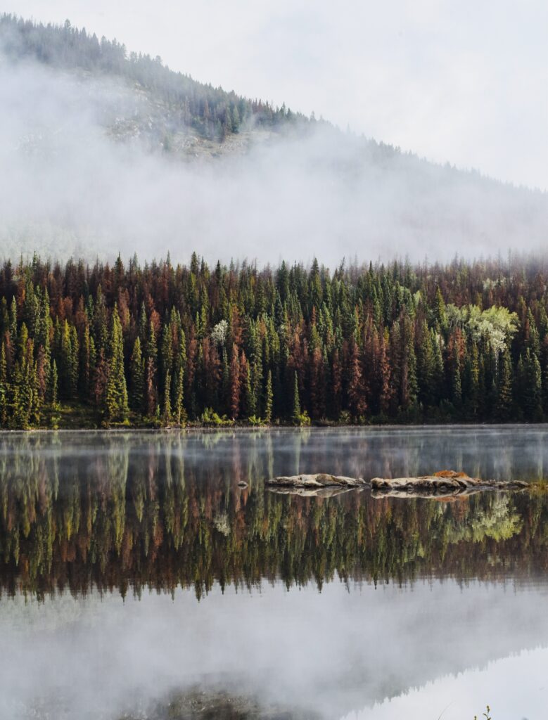 Serene forest lake wallpaper with dense trees foggy mist reflecting mountains calm nature scene