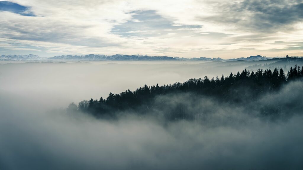 Foggy dense forest with misty treetops and distant mountains under cloudy sky wallpaper background