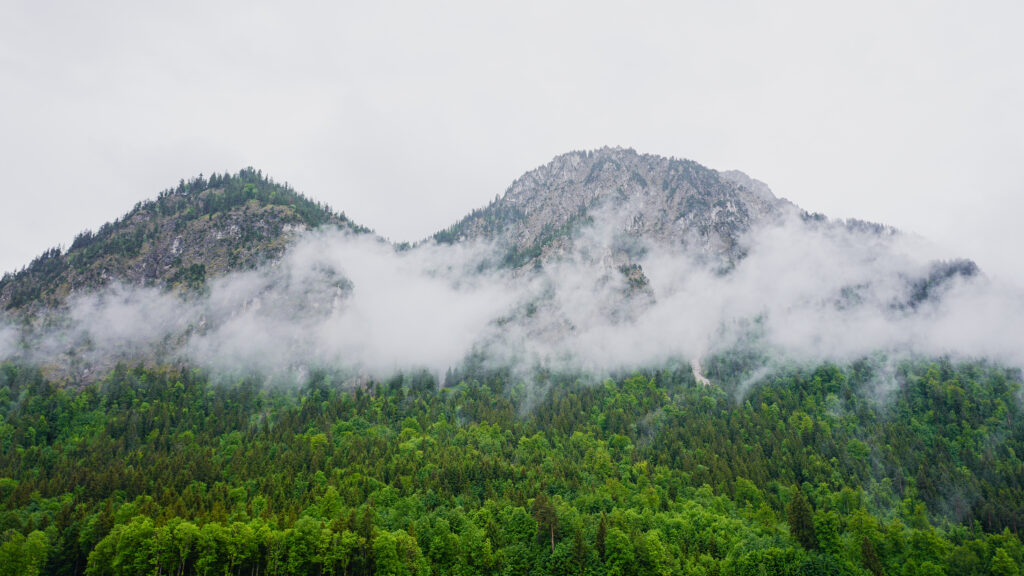 Misty clouds drift over dense green forest and rugged mountain peaks in a tranquil landscape wallpaper