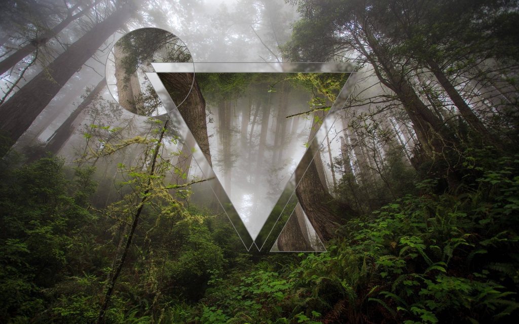 Misty forest polyscape wallpaper with geometric triangle and circle nature design background
