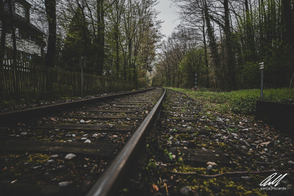 Moody railway with curved tracks in misty forest surrounded by lush greenery and fog wallpaper