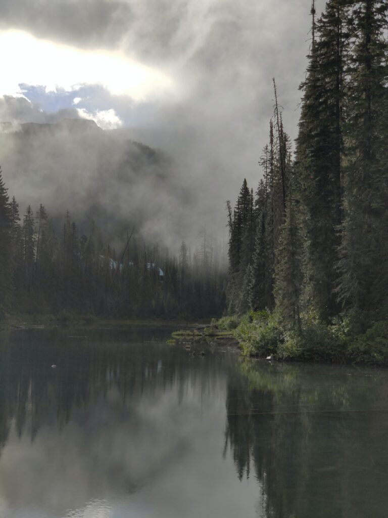 Morning fog over calm river flowing through dense evergreen forest creating tranquil atmosphere Wallpaper