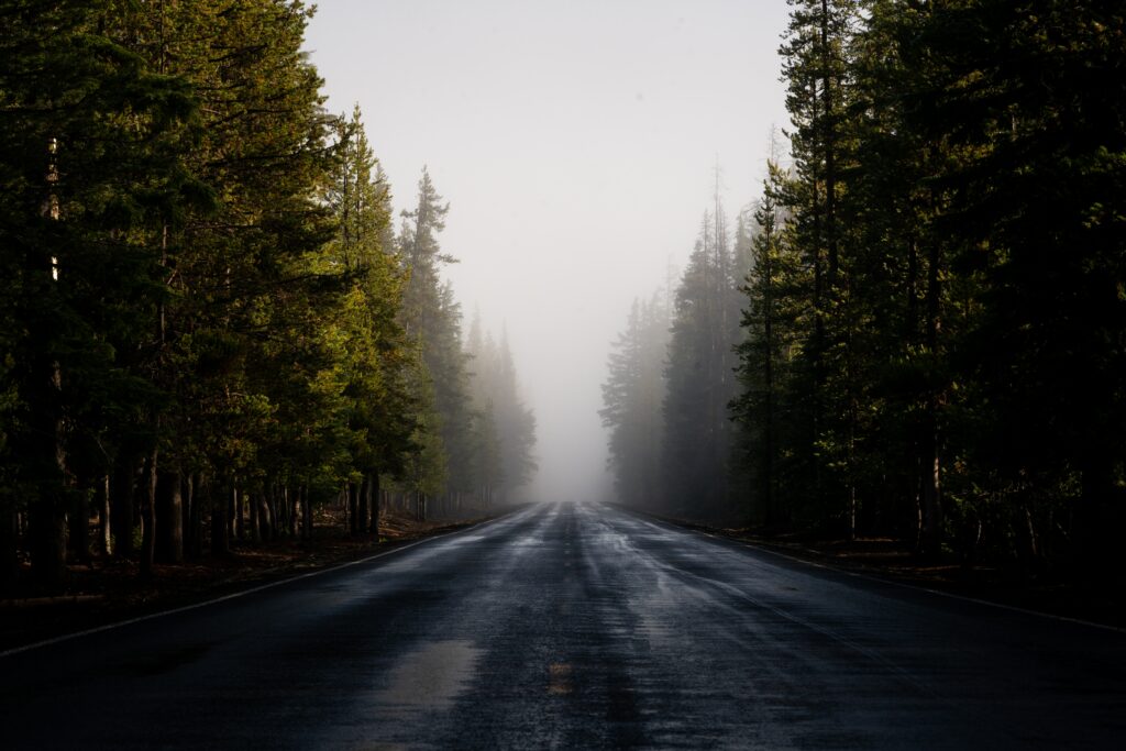 Serene asphalt road through dense green forest with misty fog and reflective damp surface wallpaper