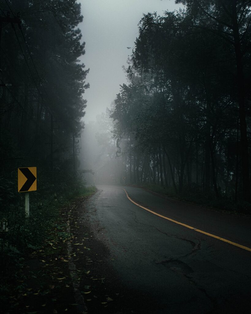 Winding forest road vanishing into dense fog surrounded by lush green trees and misty atmosphere Wallpaper