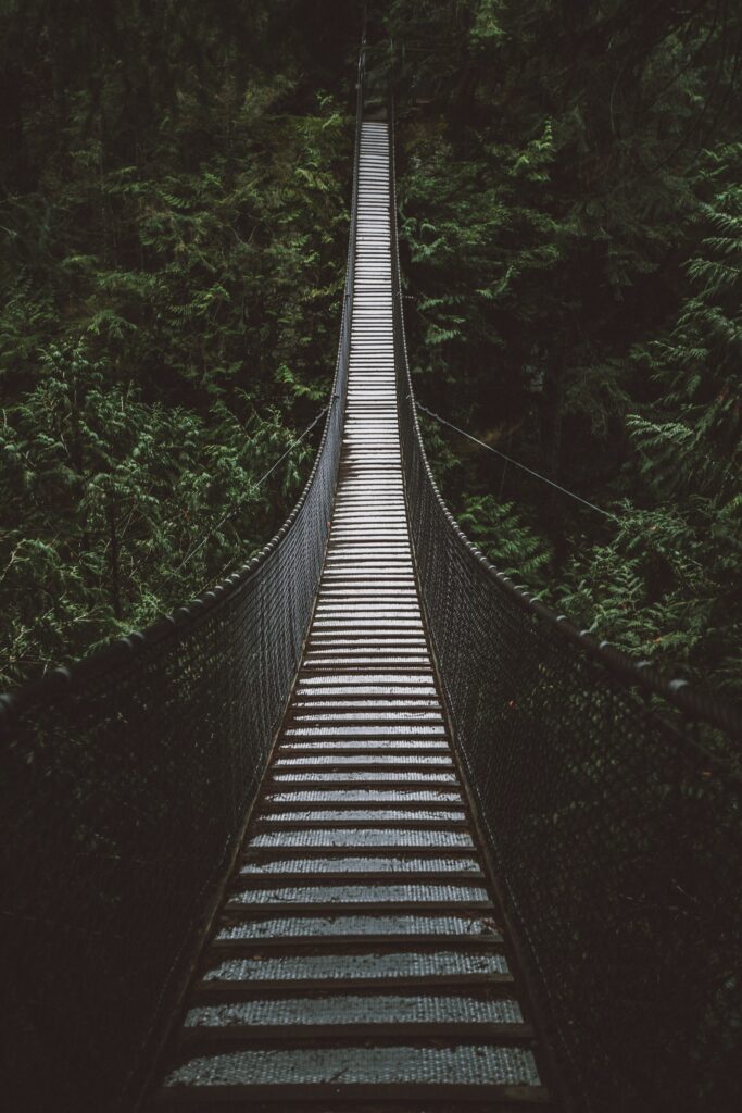 Narrow suspension rope bridge high above lush green misty forest with dense trees background Wallpaper