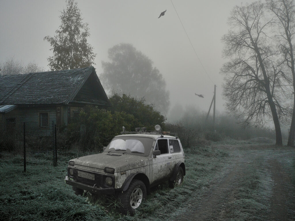 Misty Forest Wallpaper: Haunted Ambiance & Rustic Exploration