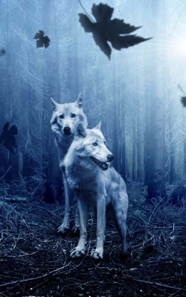 Serene Wolf Wallpaper: Ethereal Forest Scene with Misty Blue Hue