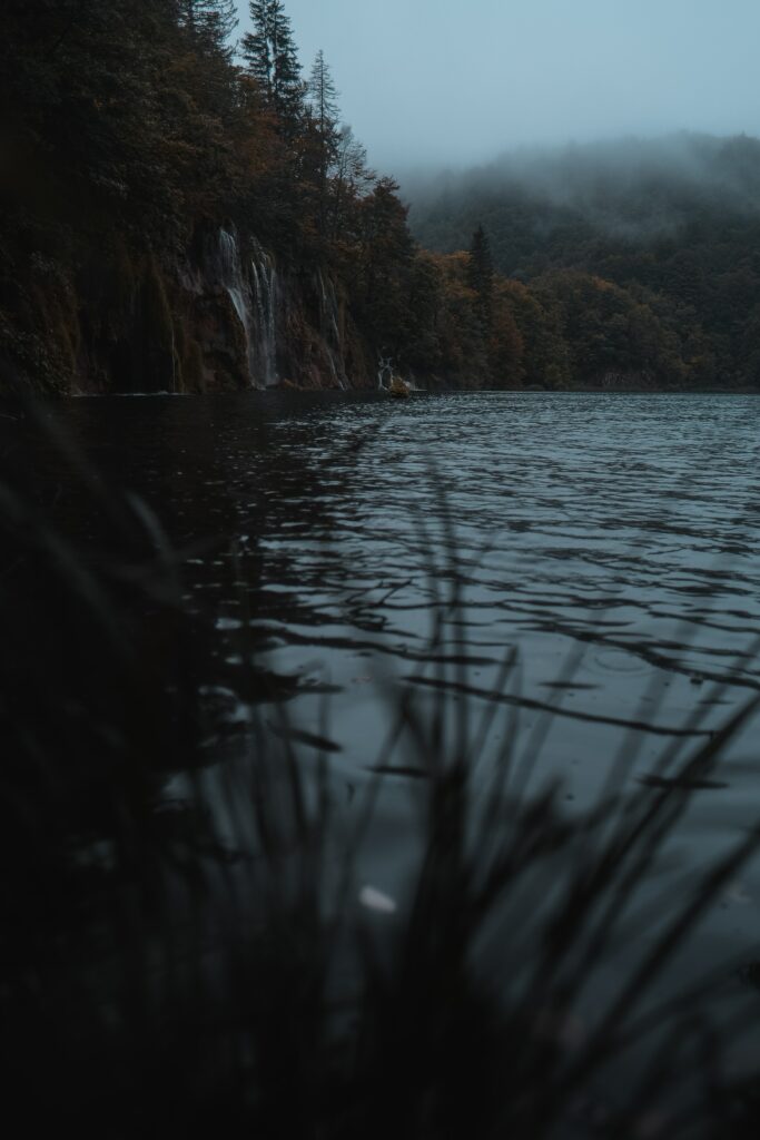 Misty forest along rugged cliffs by tranquil lake with gentle fog over treetops in soft light Wallpaper
