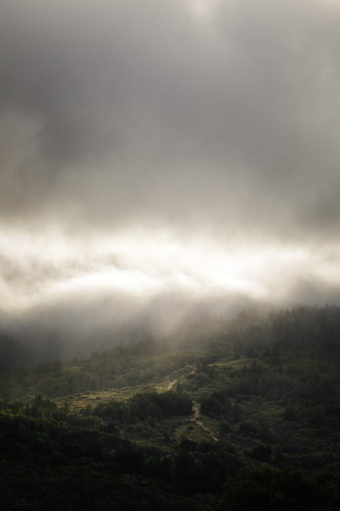 Aerial view of lush green landscape with fog clouds and soft sunlight for serene wallpaper background