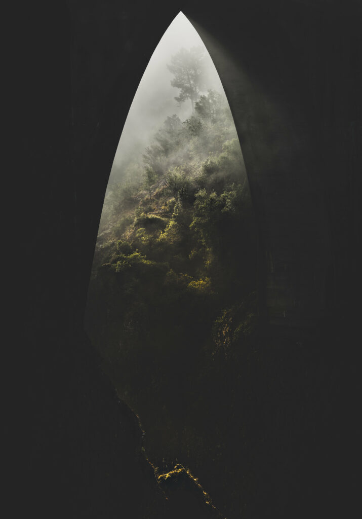 Misty jungle vista framed by ancient stone arch with lush green trees and dense foggy foliage Wallpaper