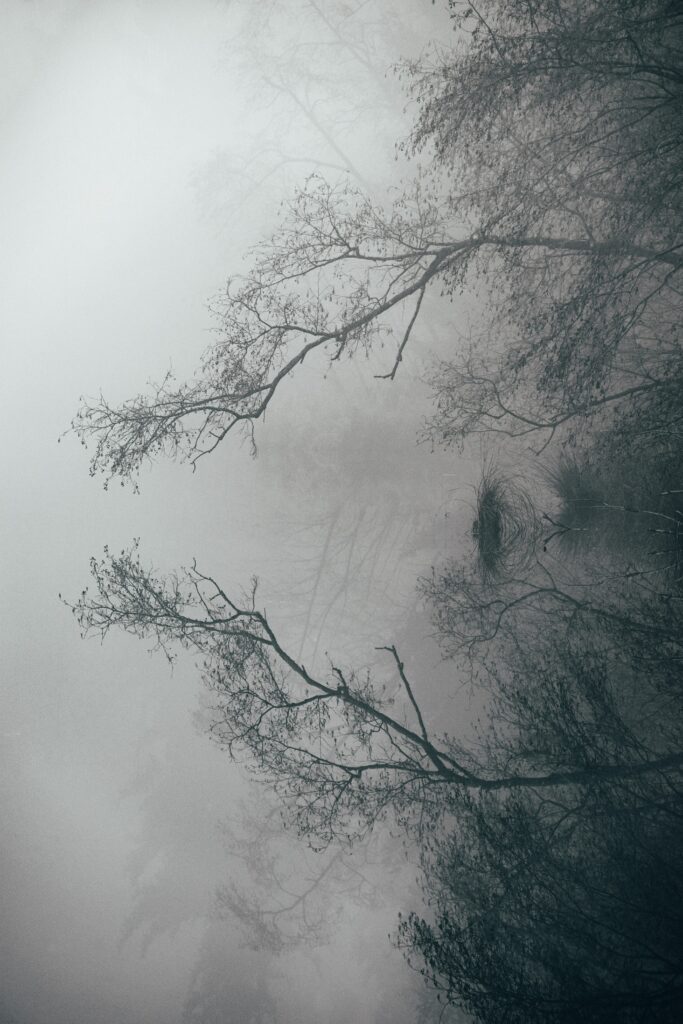 Foggy lake with reflective water and arching tree branches creating a serene monochrome landscape Wallpaper