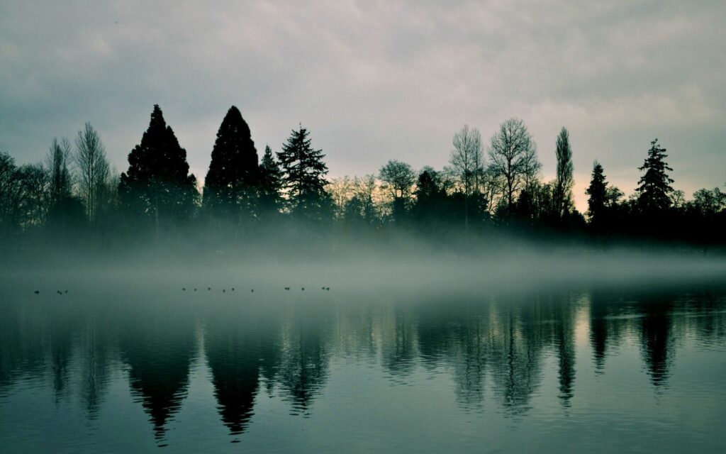 Serene misty lake reflecting tall trees along foggy shore calm water peaceful landscape wallpaper