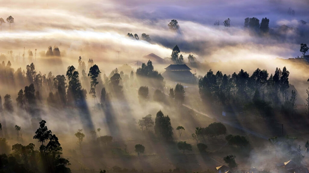 Misty Landscape Wallpaper: Serene Trees in Ethereal Fog Background