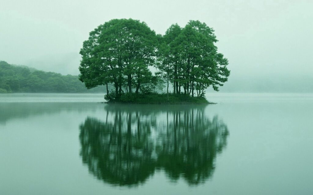 Serene islet with lush trees reflected on calm lake water in soft morning fog summer landscape Wallpaper