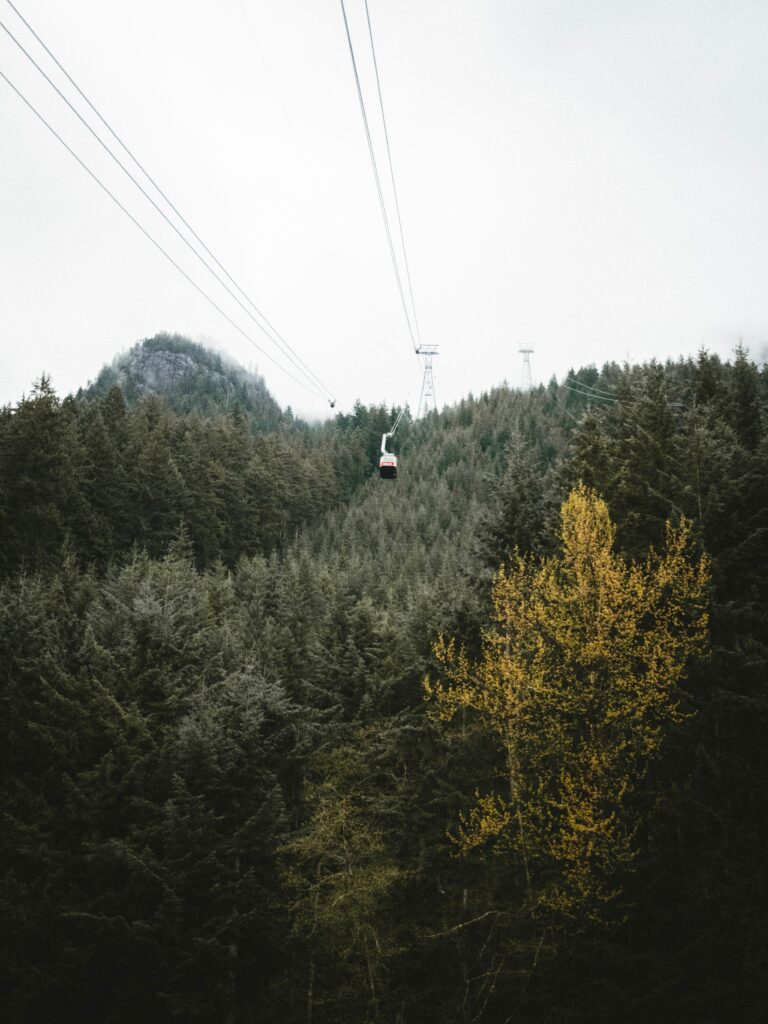 Cableway above dense pine forest with golden tree and misty mountain peaks under overcast sky Wallpaper