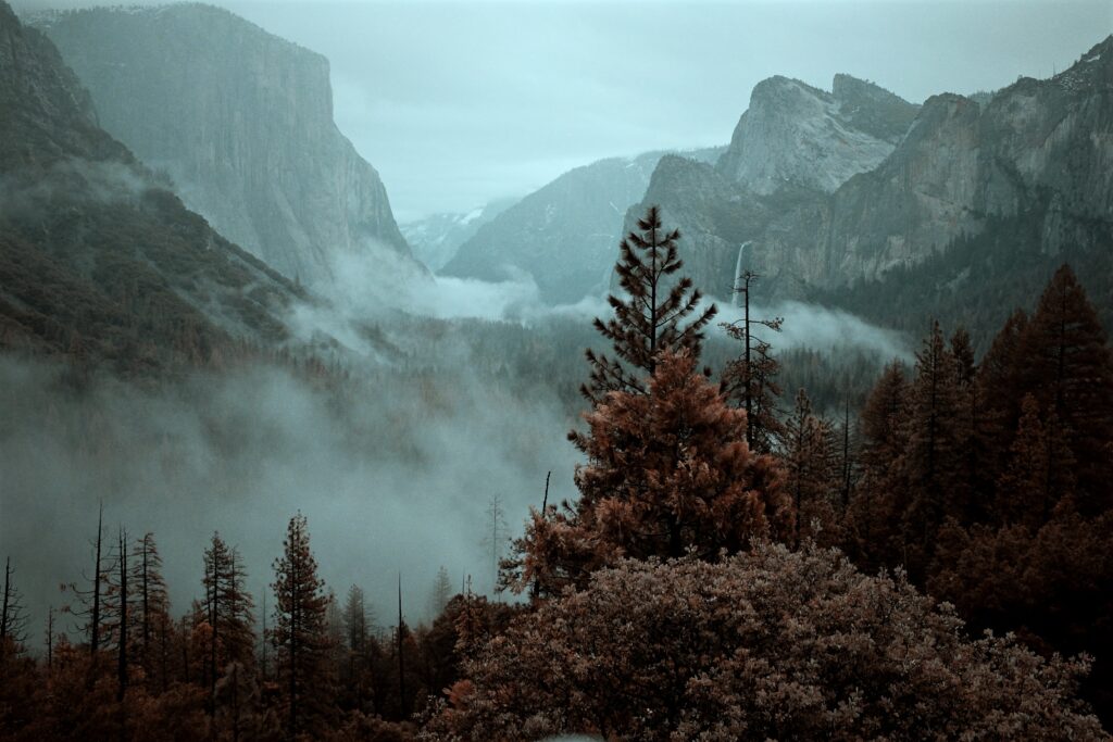 Misty mountain landscape with towering cliffs dense spruce trees and moody blue brown tones wallpaper