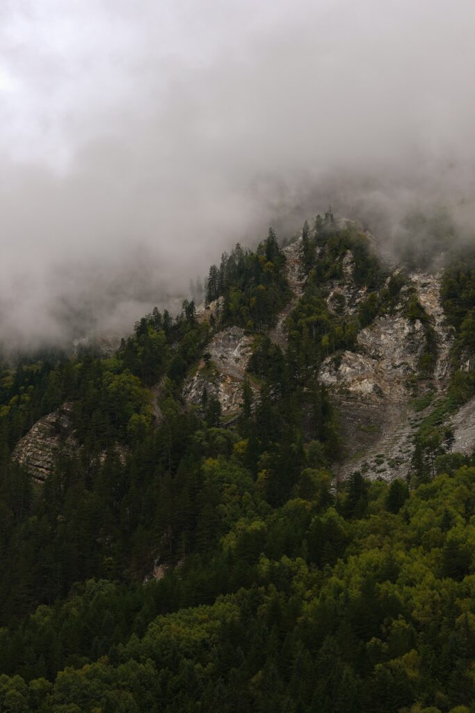 Foggy mountain landscape with dense forest rugged rocks and tall trees in misty greens Wallpaper