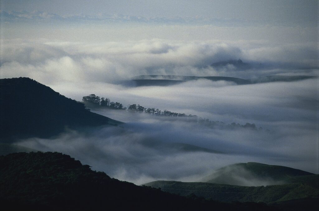 Foggy mountain landscape with soft clouds over tree-lined ridges in moody green and blue tones Wallpaper