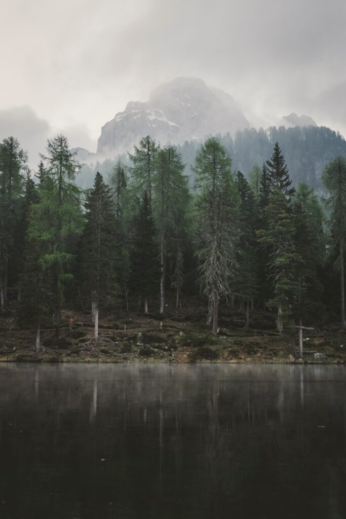 Misty mountains with tall green trees reflected in calm lake foggy serene natural landscape wallpaper