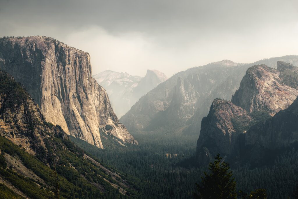 Misty mountain landscape with dramatic rocks and lush forest valleys in soft natural light Wallpaper