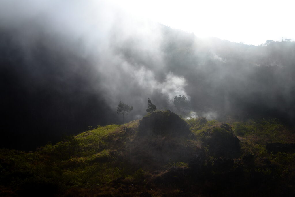 Misty mountains and foggy hills with lush green trees illuminated by soft sunlight landscape wallpaper