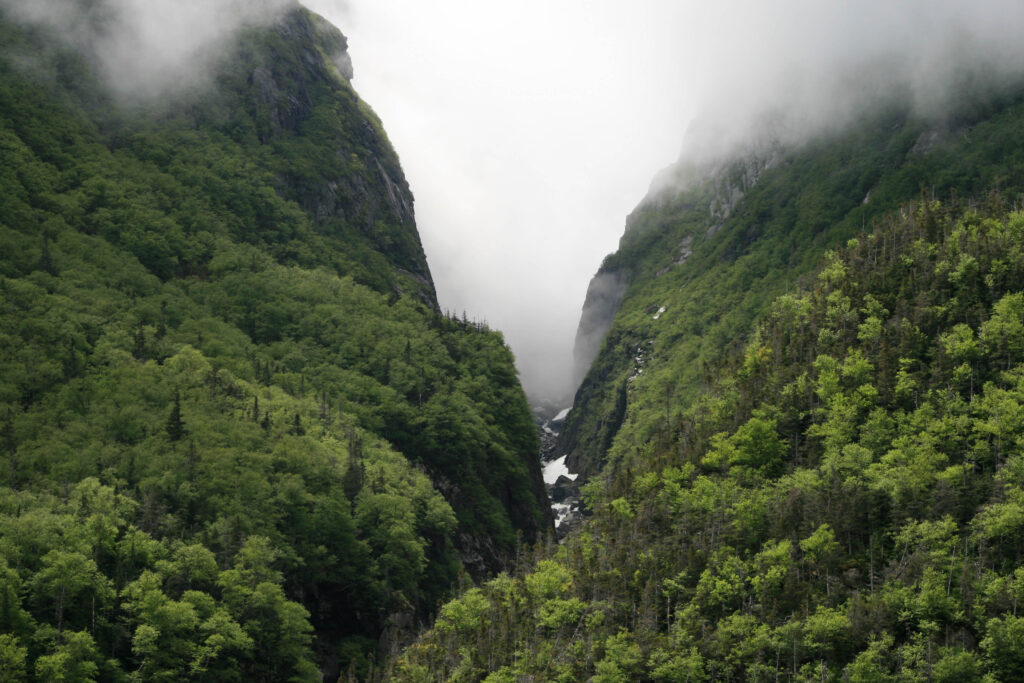 Dramatic mountain landscape with rugged rocks lush green trees foggy valley and snow patches wallpaper