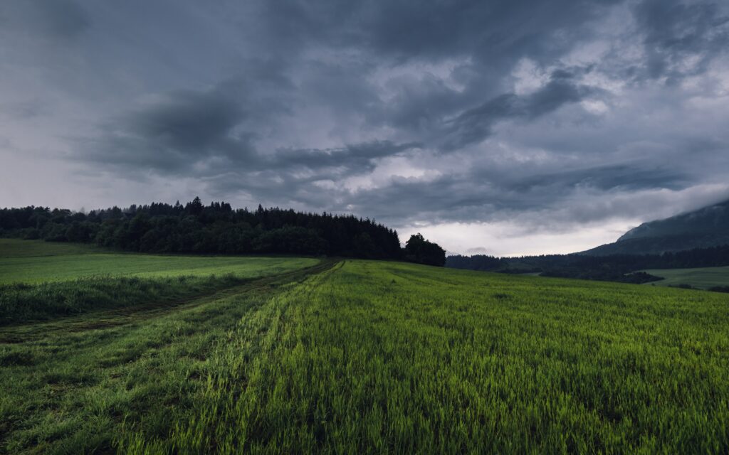 Lush green field with winding path dense woods and misty mountains under moody overcast sky Wallpaper