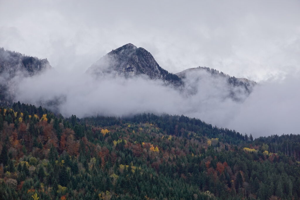 Mountain landscape with misty peaks over autumn forest in vivid green red and gold hues wallpaper