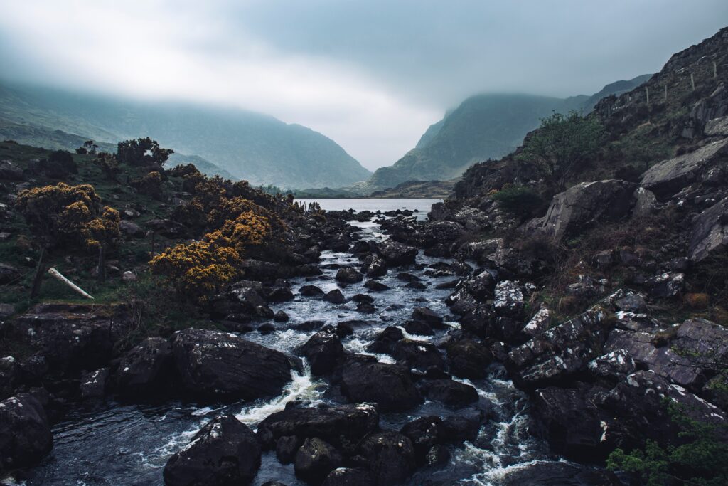 Misty mountain landscape with winding river over dark stones framed by rugged rocks and shrubs Wallpaper