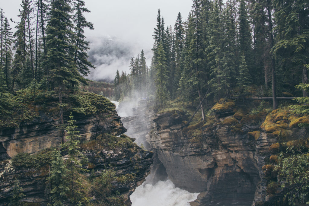 Misty pine forest and rugged rocks with a powerful river in tranquil natural landscape wallpaper