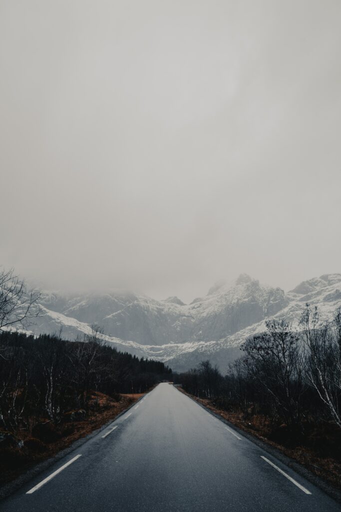 Moody asphalt road with wet reflective surface flanked by leafless trees and misty mountains Wallpaper