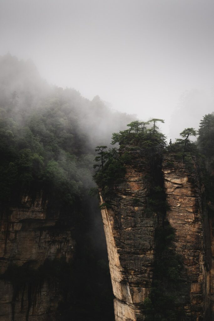 Misty landscape with towering rock formations and resilient trees over lush green foliage wallpaper