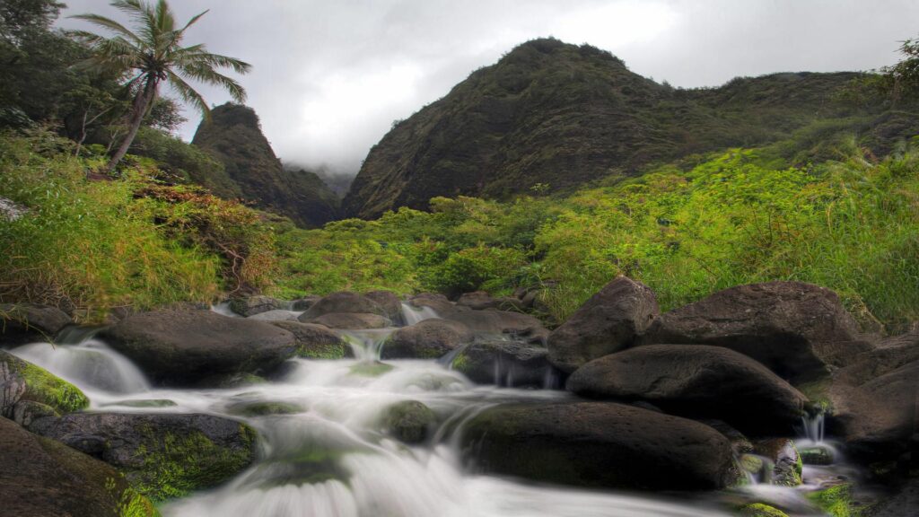 Tranquil river flows over smooth stones surrounded by lush greenery and towering mountains Wallpaper