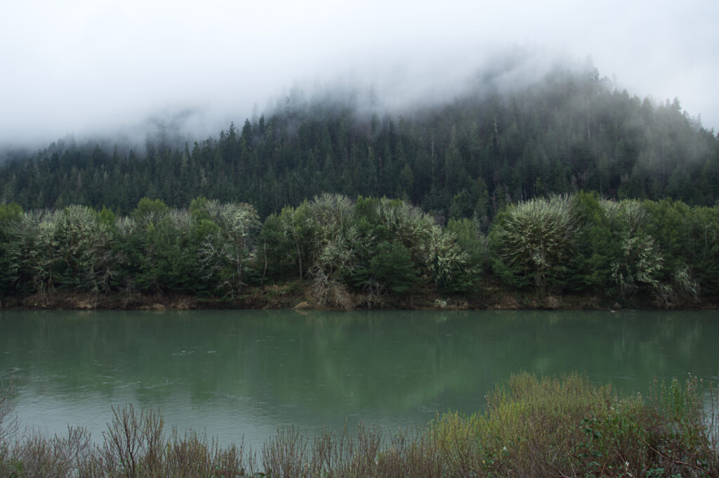 Serene riverside forest landscape with misty fog and lush green trees on mountain slopes wallpaper