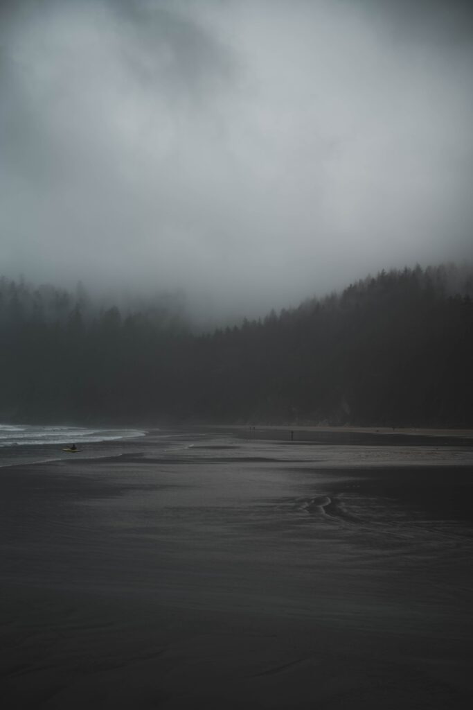 Thick fog over riverside with dark water and shadowy trees creating a tranquil misty landscape Wallpaper