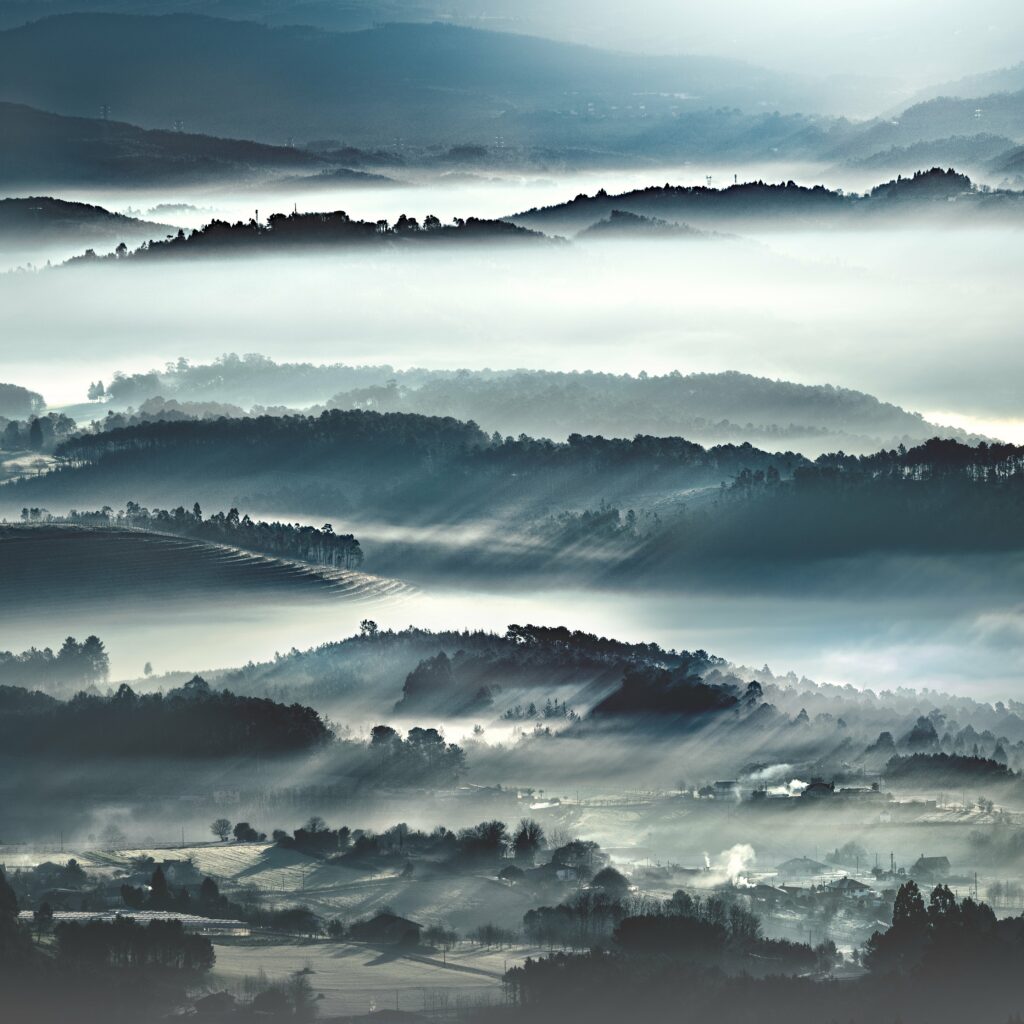 Mist-covered rolling hills with dense trees in soft blue and gray serene landscape wallpaper
