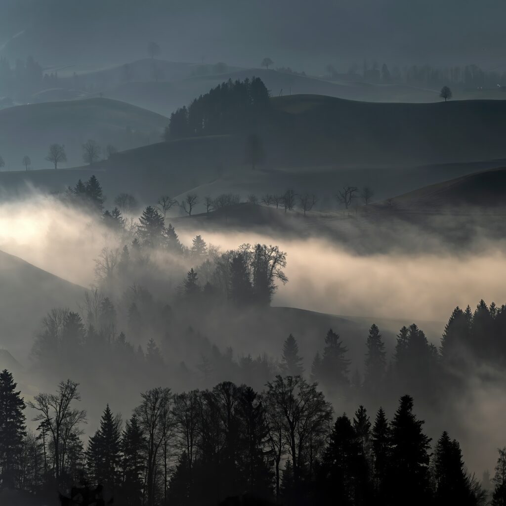 Misty rolling hills with dark tree silhouettes in muted grey and green serene landscape wallpaper