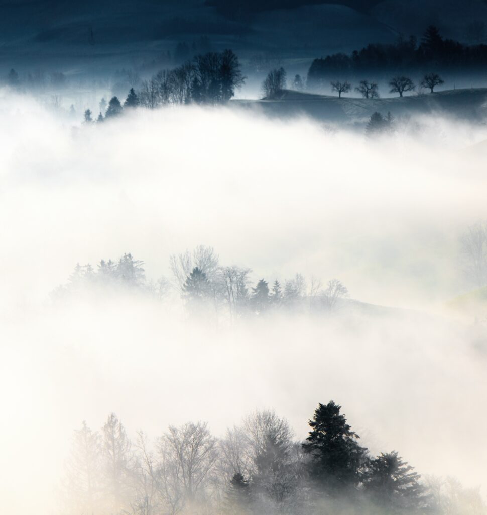 Serene misty hills with tree silhouettes and soft light creating a tranquil nature landscape wallpaper