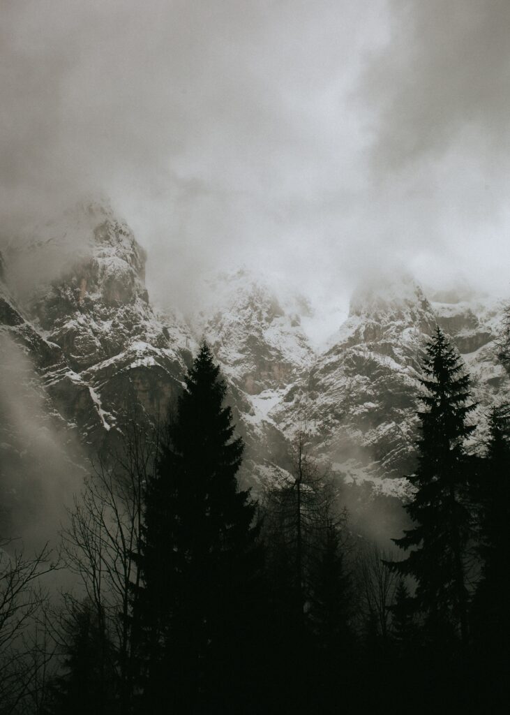 Snow-capped mountains with mist and silhouetted evergreens in moody winter landscape wallpaper