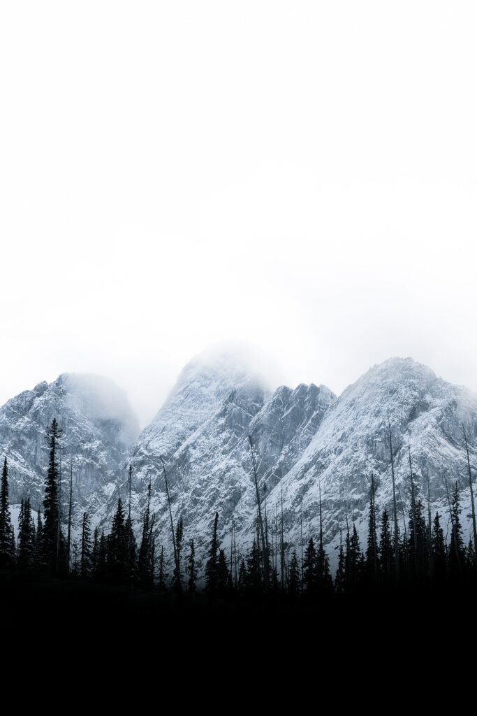Snow-covered mountain peaks with misty clouds and dark pine trees in a serene minimalist landscape Wallpaper