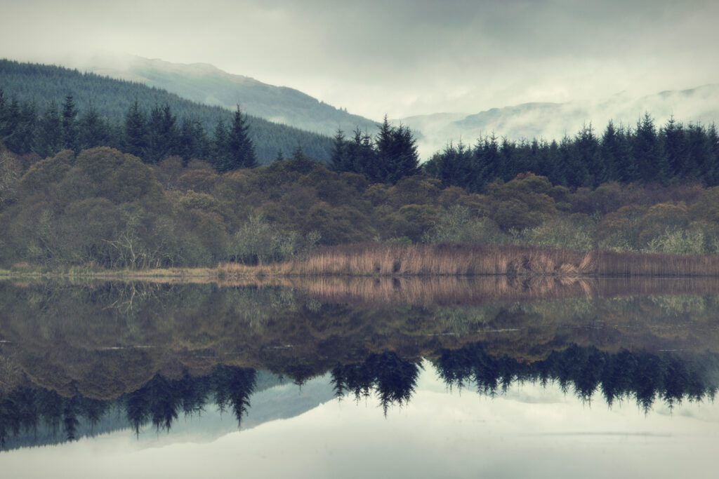 Misty spruce forest on slope reflected in calm lake with foggy mountains serene landscape wallpaper