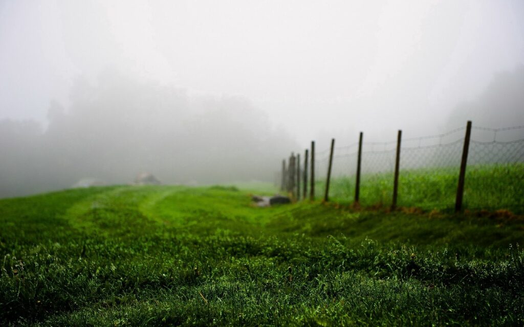 Lush green field with dewy grass and soft morning fog by rustic wire fence in summer countryside Wallpaper