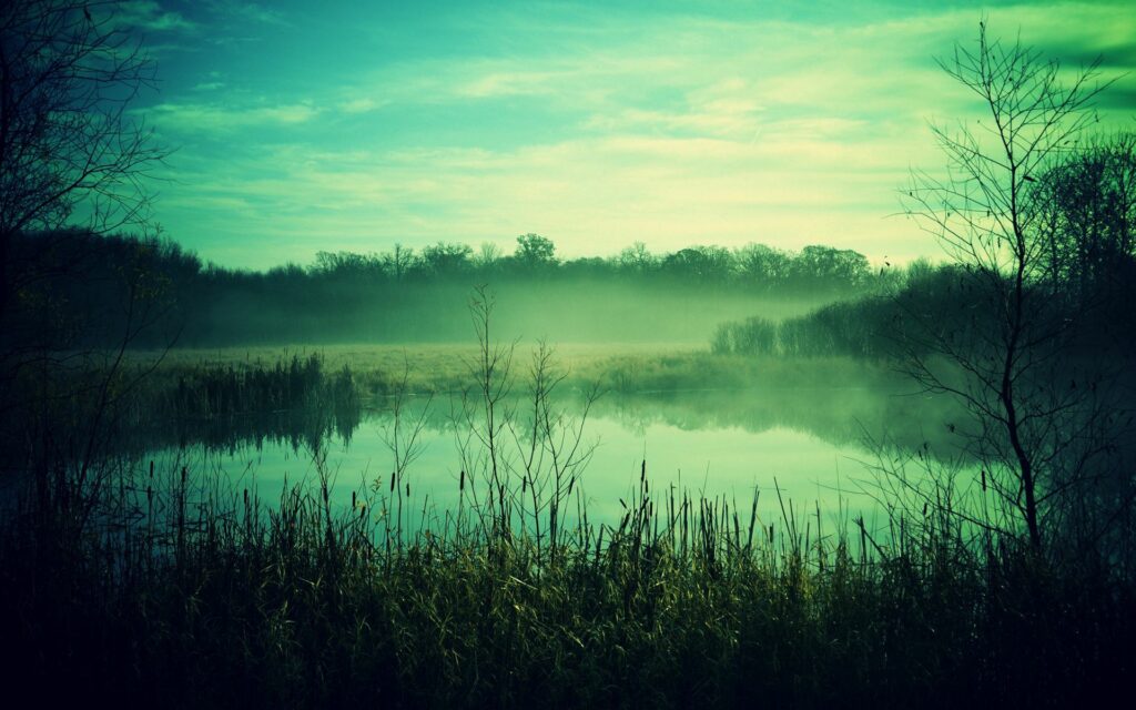 Serene foggy pond at twilight with bare trees silhouettes calm mysterious nature wallpaper